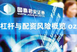 杠杆与配资风险概览 oz