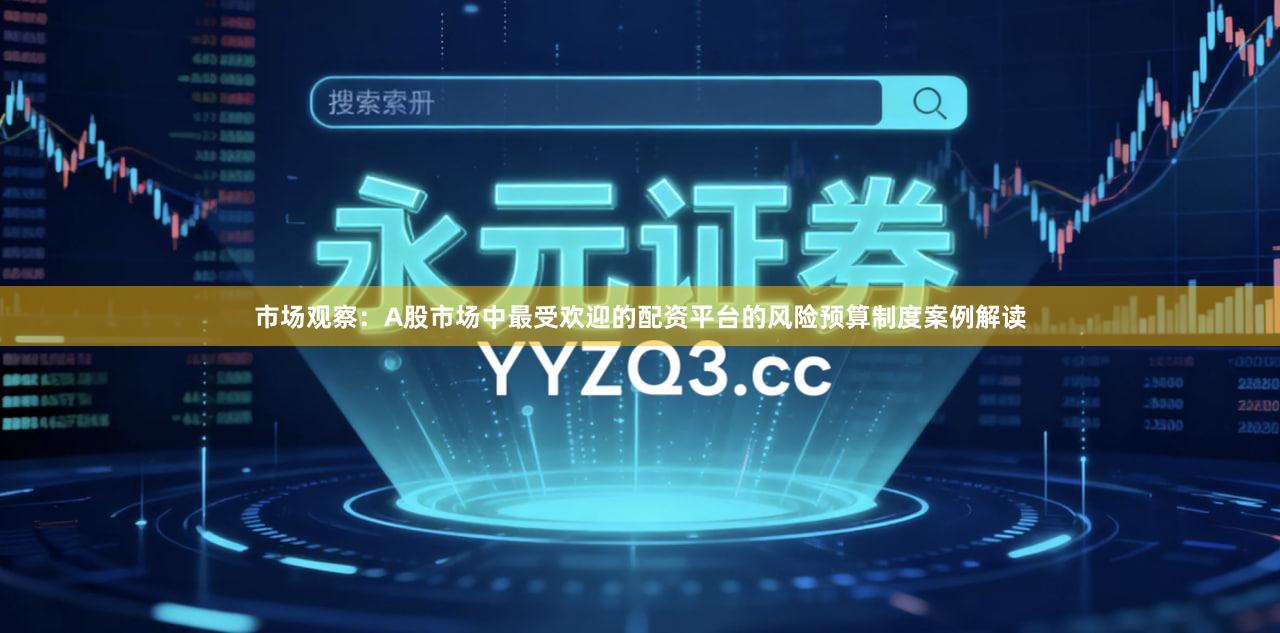 市场观察：A股市场中最受欢迎的配资平台的风险预算制度案例解读